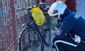 Policjant sprawdza rower na drodze dla rowerów. Żółta torba wisi na kierownicy.