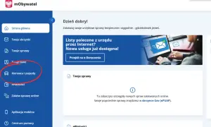 Gdzie sprawdzić punkty karne? Kliknij "Kierowca i pojazdy" na stronie mObywatel.