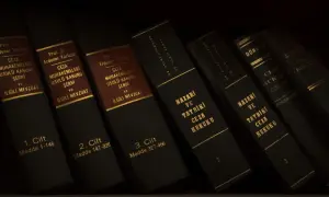 Artykuł 119 kodeksu wykroczeń - co musisz wiedzieć o kradzieży?