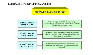Schemat podziału prawa karnego na materialne, procesowe i wykonawcze.