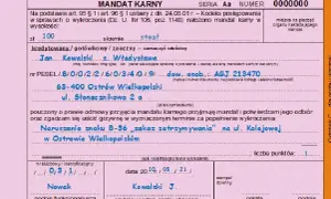 Nie przyjąłem mandatu co dalej – co grozi i jak się bronić?