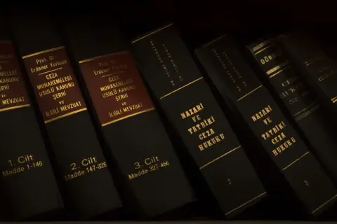 Artykuł 119 kodeksu wykroczeń - co musisz wiedzieć o kradzieży?