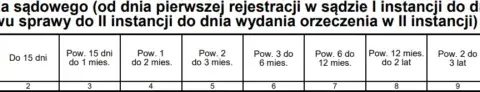 Ile się czeka na apelację w sprawie karnej? Sprawdź, co wpływa na czas