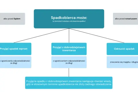 Spadkobierca ma 6 miesięcy na decyzję: przyjąć spadek wprost, z dobrodziejstwem inwentarza, lub odrzucić go.
