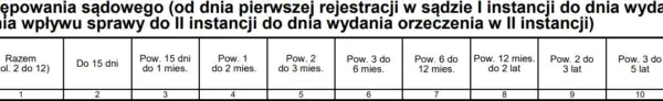 Ile się czeka na apelację w sprawie karnej? Sprawdź, co wpływa na czas
