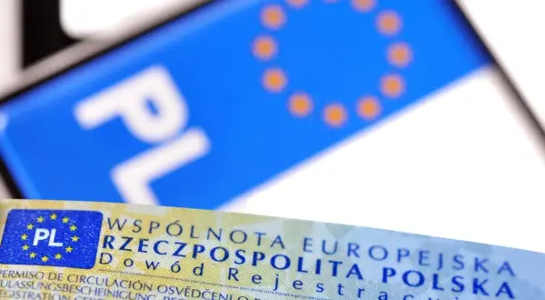 Dowód rejestracyjny z napisem "PL" i flagą UE. Sprawdź, jak sprawdzić czy dowód osobisty jest do odbioru.