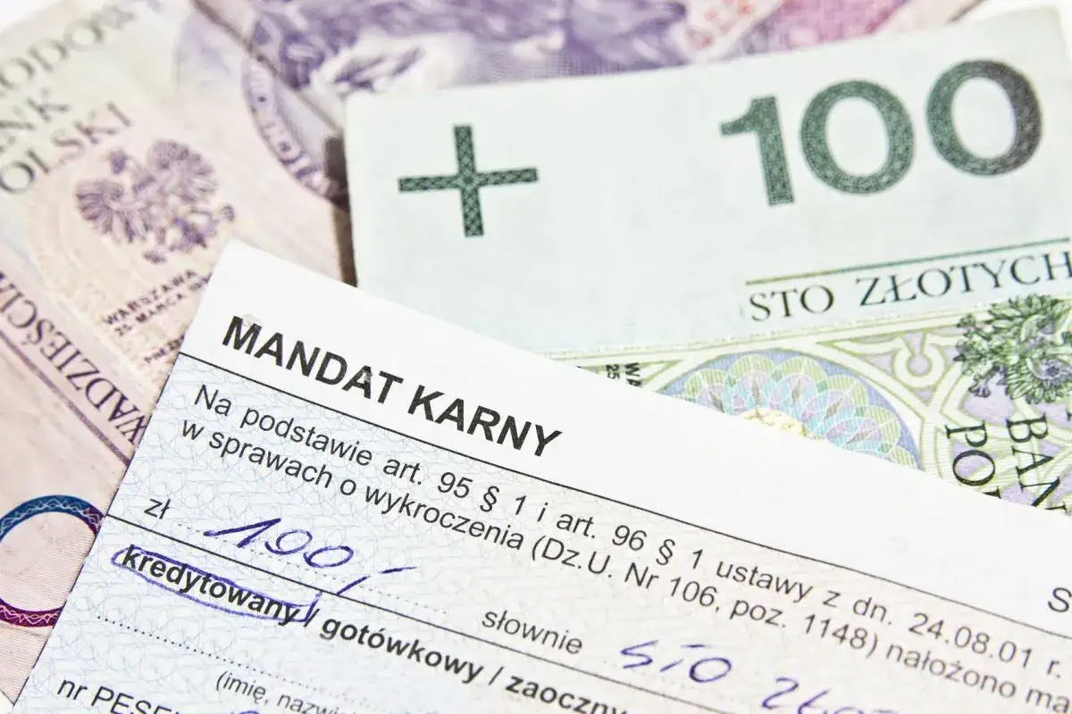 Zdjęcie Od kogo można dostać mandat? Poznaj ważne informacje i prawa