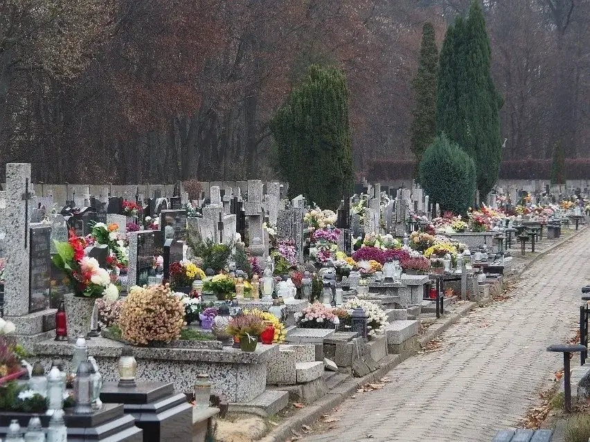 Zdjęcie Jak zabezpieczyć kwiaty na cmentarzu przed kradzieżą i uniknąć straty